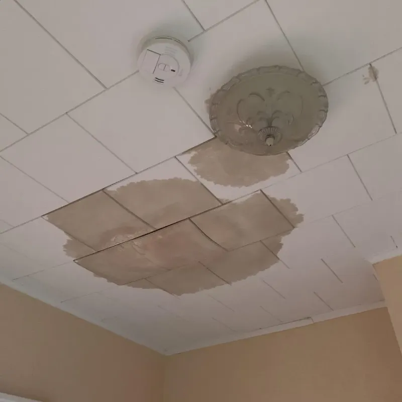 Ceiling Water Damage Repair in Three Forks, MT