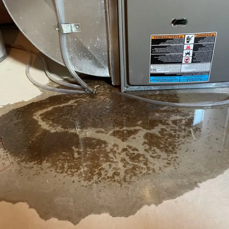 Pipe Burst and Leak Restoration in Three Forks, MT